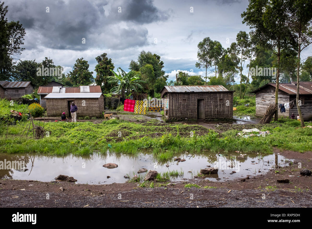 Maisons de taudis à Goma, République démocratique du Congo Banque D'Images