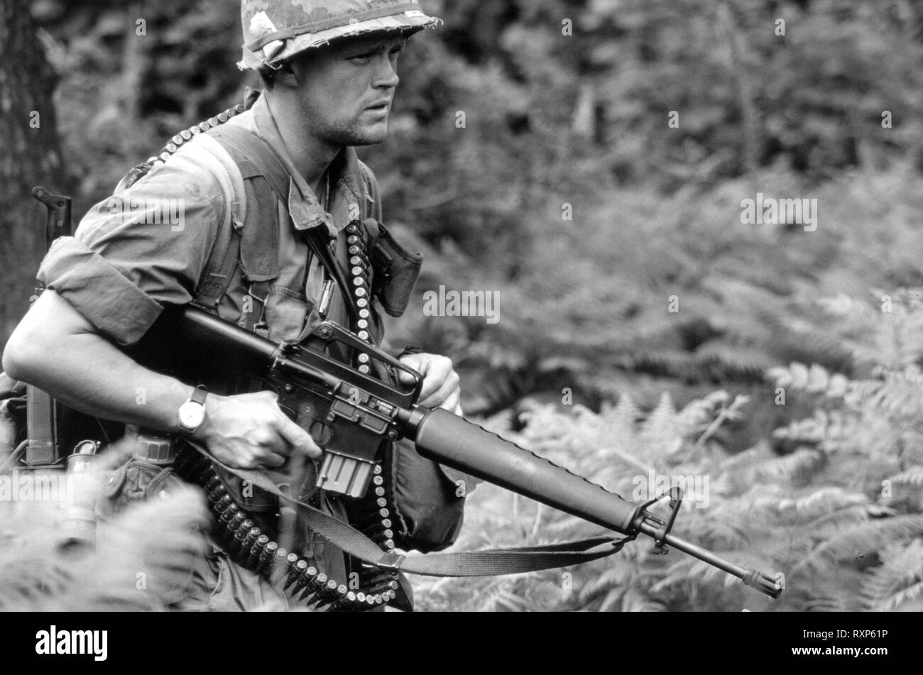 US Rifleman Guerre du Vietnam (Reenactor) Banque D'Images