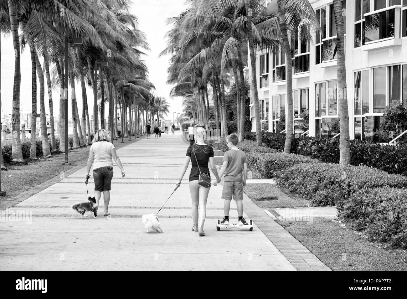 Miami, USA - 12 Février 2016 : les gens les marcheurs passe road à Miami Beach magnifique avec son architecture art déco ou bâtiment de l'hôtel et de palmiers en plein air de vent couleur vert Banque D'Images