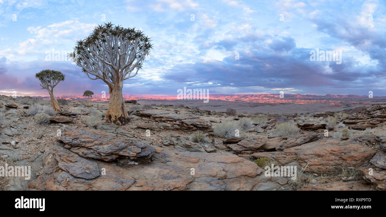 Panorama de la vallée de 1000 hills Namibie Banque D'Images