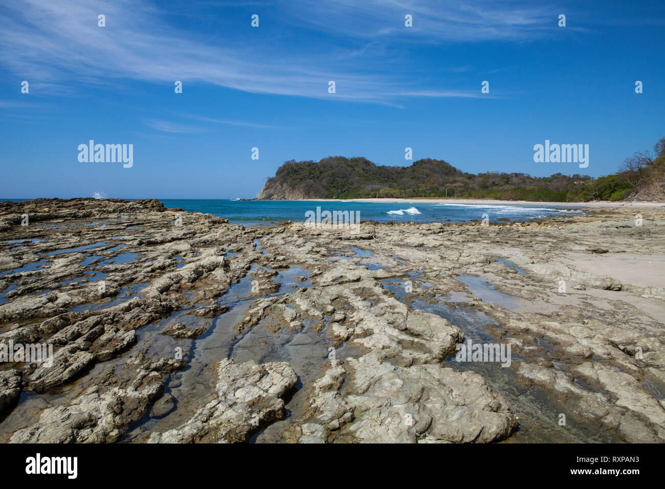 Playa Barrigonasamaracosta Rica Janvier 282019dans La