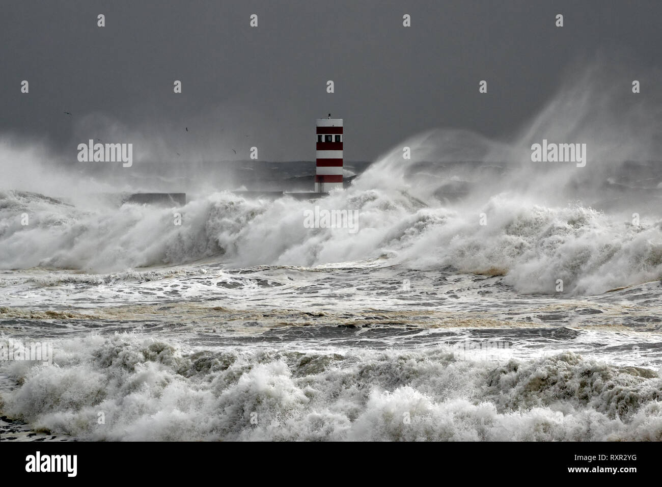 Avec de fortes vagues de vent de tempête Banque D'Images