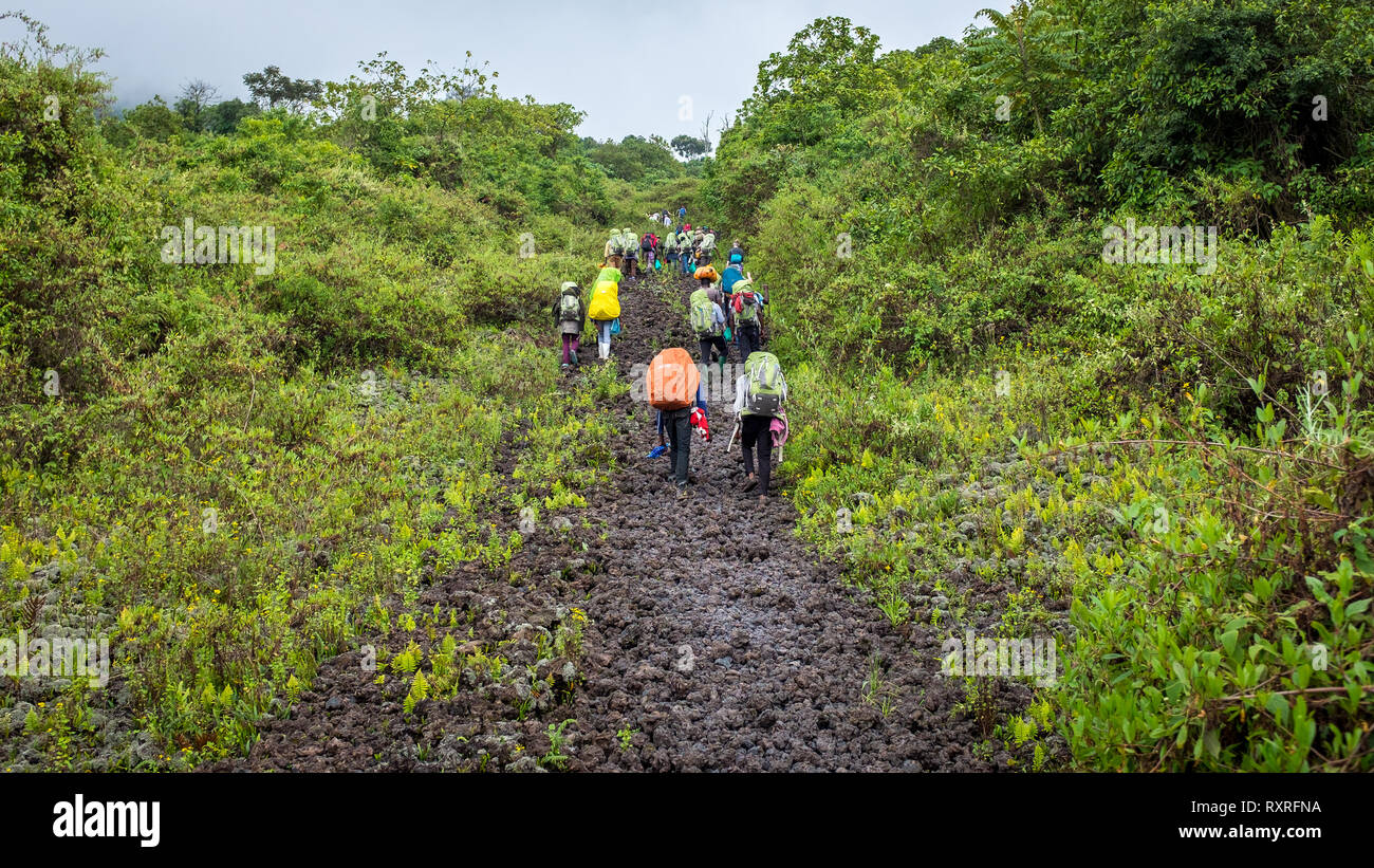 Les randonneurs l'escalade du mont volcan Nyiragongo en République démocratique du Congo Banque D'Images