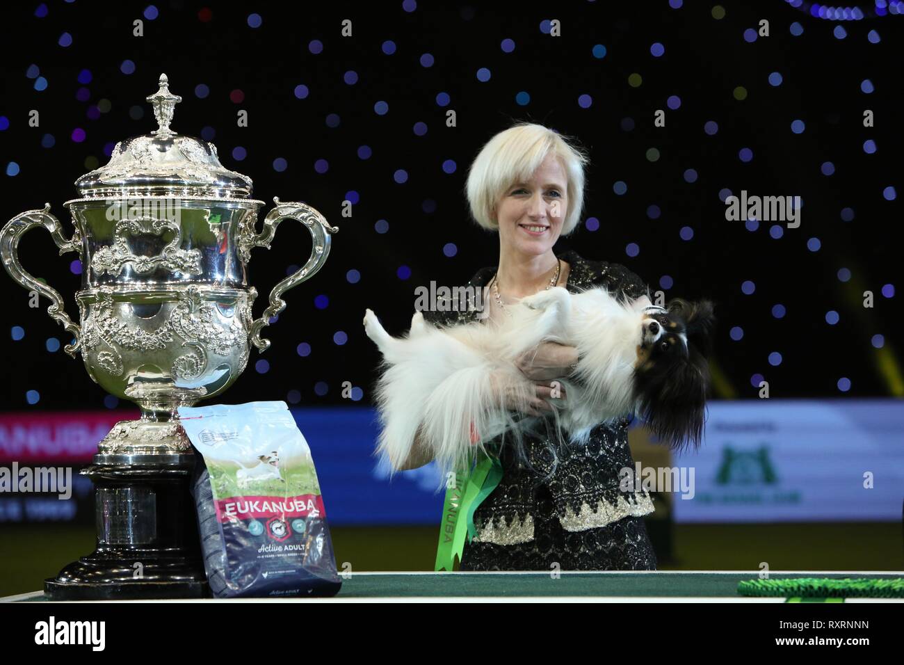 Birmingham, UK. Mar 10, 2019. Best in Show vainqueur et champion de Crufts 2019 CH Planet Waves Forever Young Daydream croyants, un papillon mieux connu sous le nom de Dylan le méchant de la Belgique, de l'administré par Kathleen Roosens. Credit : ️Jon Freeman/Alamy Live News Banque D'Images