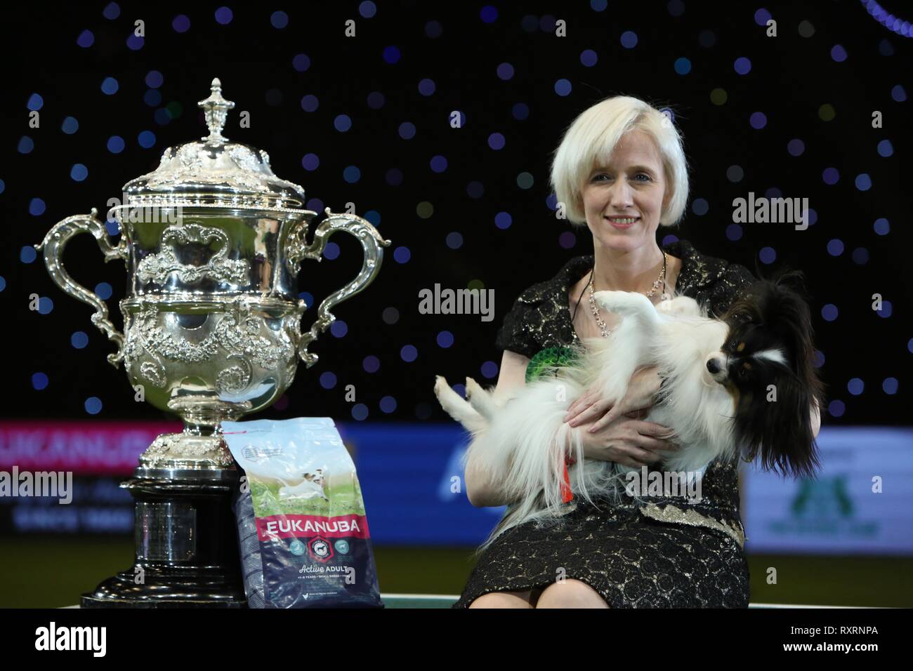 Birmingham, UK. Mar 10, 2019. Best in Show vainqueur et champion de Crufts 2019 CH Planet Waves Forever Young Daydream croyants, un papillon mieux connu sous le nom de Dylan le méchant de la Belgique, de l'administré par Kathleen Roosens. Credit : ️Jon Freeman/Alamy Live News Banque D'Images