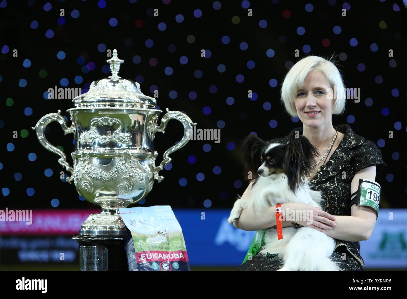 Birmingham, UK. Mar 10, 2019. Best in Show vainqueur et champion de Crufts 2019 CH Planet Waves Forever Young Daydream croyants, un papillon mieux connu sous le nom de Dylan le méchant de la Belgique, de l'administré par Kathleen Roosens. Credit : ️Jon Freeman/Alamy Live News Banque D'Images