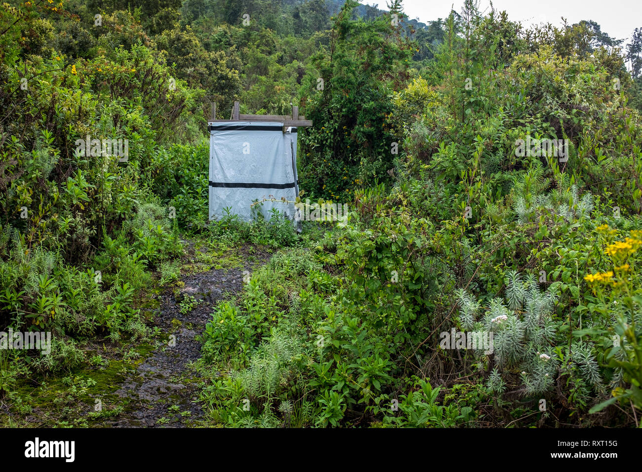 Une cabane de toilettes fournies pour les randonneurs sur le mont Nyiragongo, République démocratique du Congo Banque D'Images