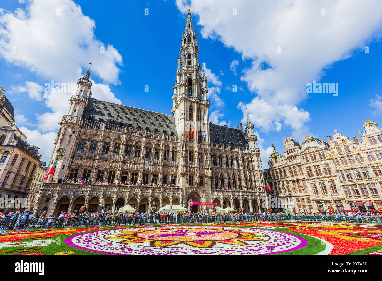 Bruxelles, Belgique - 17 août 2018 : Grand Place pendant la floraison festival de tapis. Le thème de cette année était le Mexique. Banque D'Images