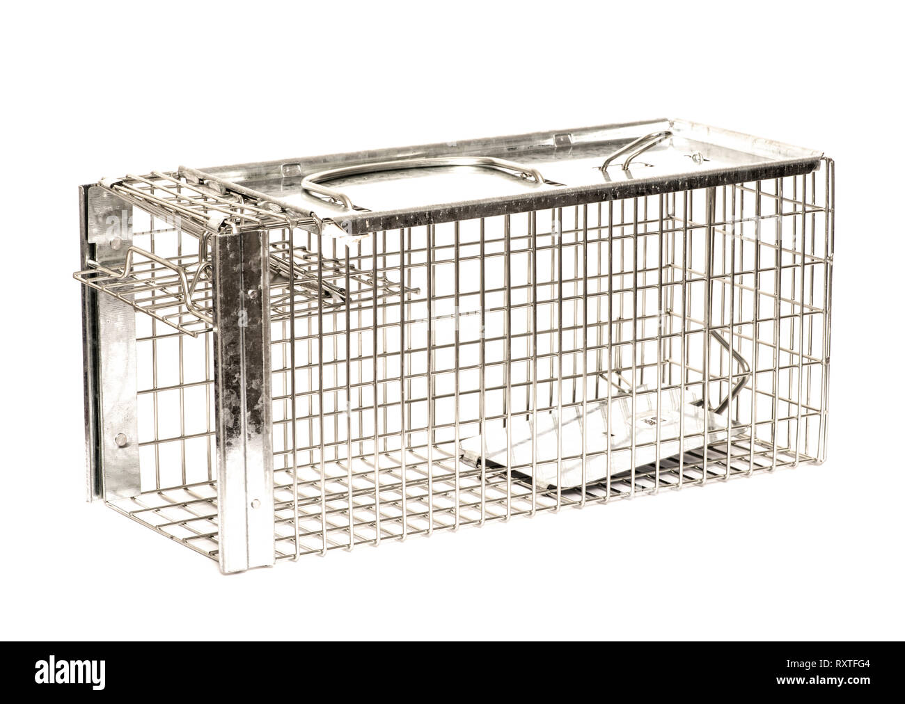 Piège à rat humain en acier galvanisé grillage sur fond blanc. Ouvrir et prêt Banque D'Images