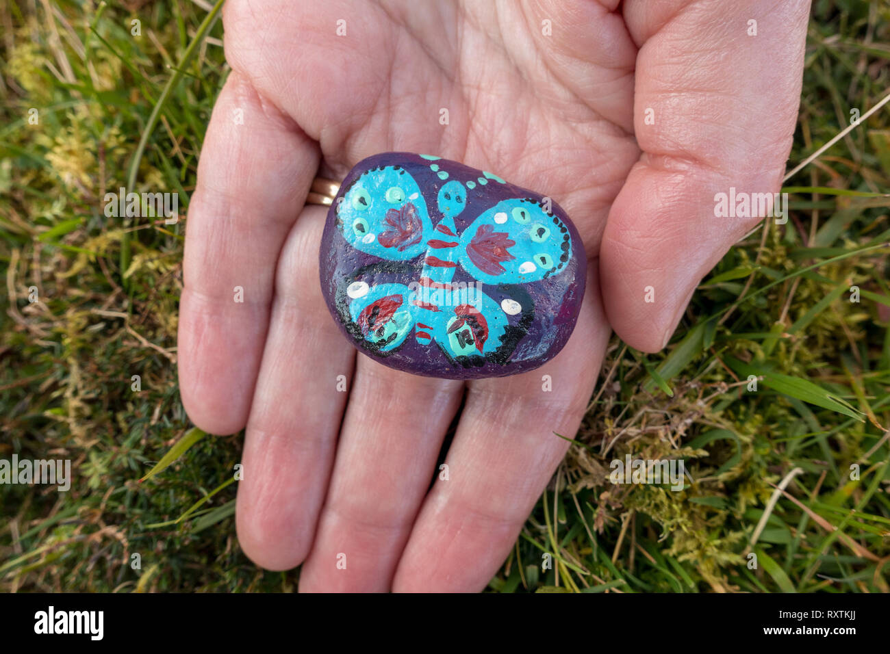 Main tenant une côte ouest Rock peint (# WCPR). L'un et cachés trouvés peint et verni pebble, Skye, Scotland, UK Banque D'Images