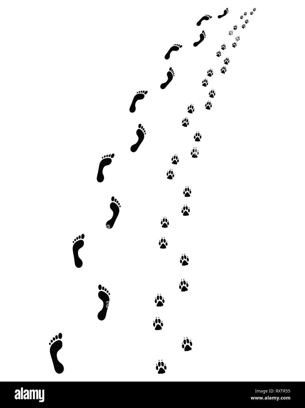Imprime des Pieds et pattes de chien, tourner à gauche ou à droite Banque D'Images