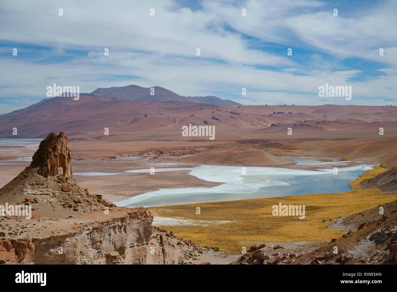 Vue de l'Altiplano et le lac de sel dans le désert d'Atacama, au Chili, près de la frontière avec l'Argentine, l'Amérique du Sud Banque D'Images