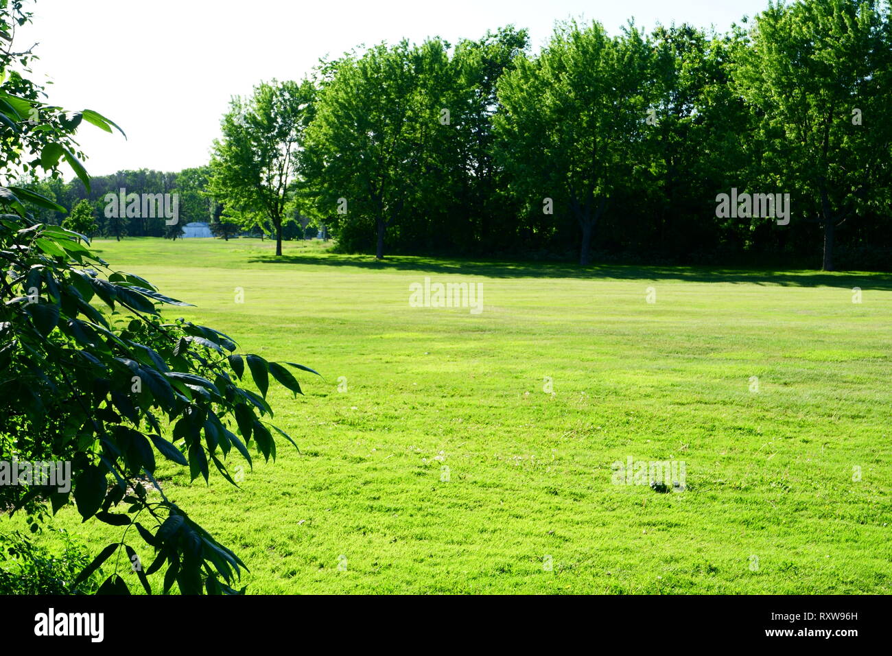 Une belle journée ensoleillée et agréable vide jardin en été, la pelouse verte est court. Banque D'Images