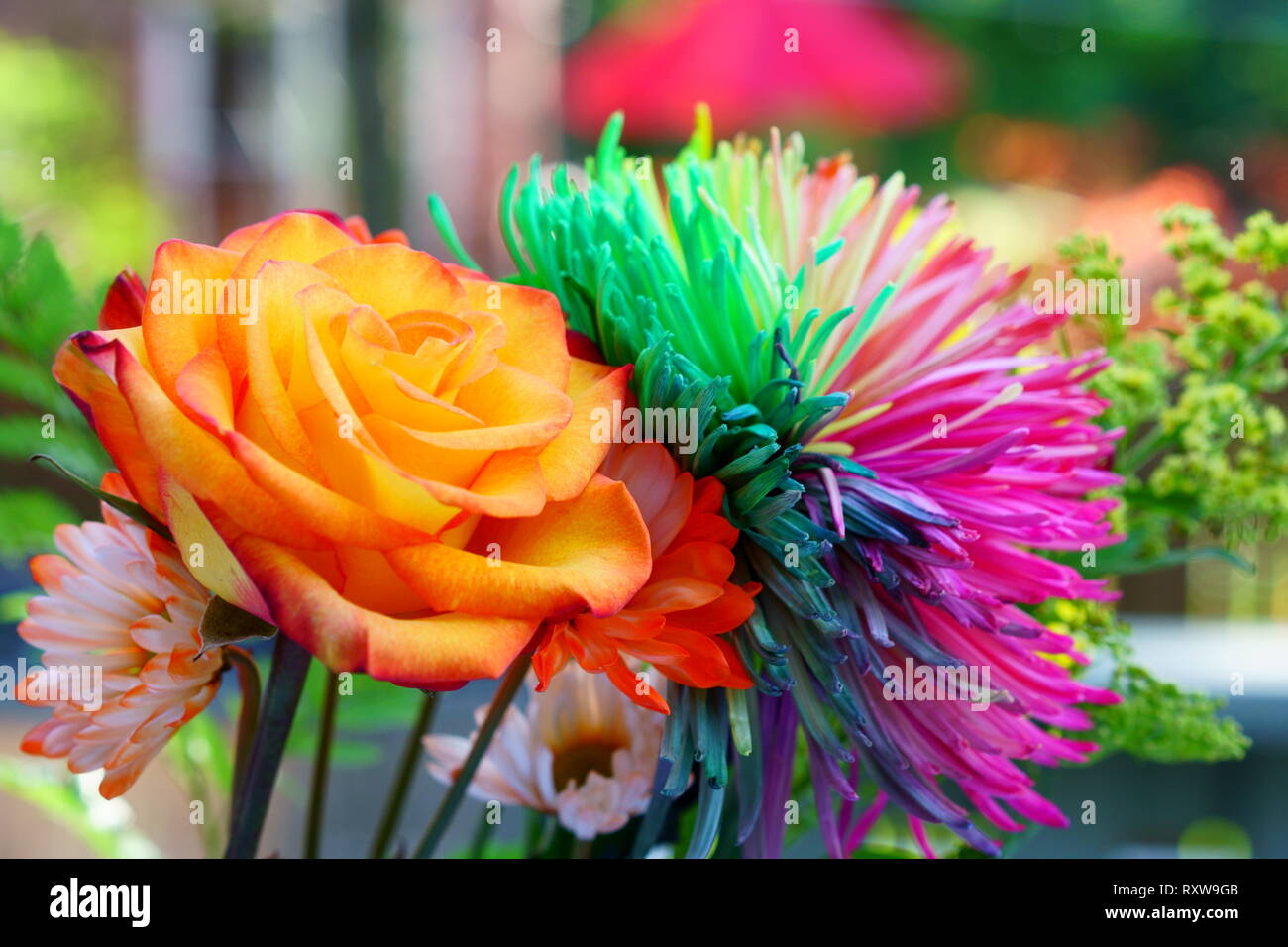 Belle et magnifique bouquet de fleurs colorées à l'extérieur pendant la journée. Banque D'Images