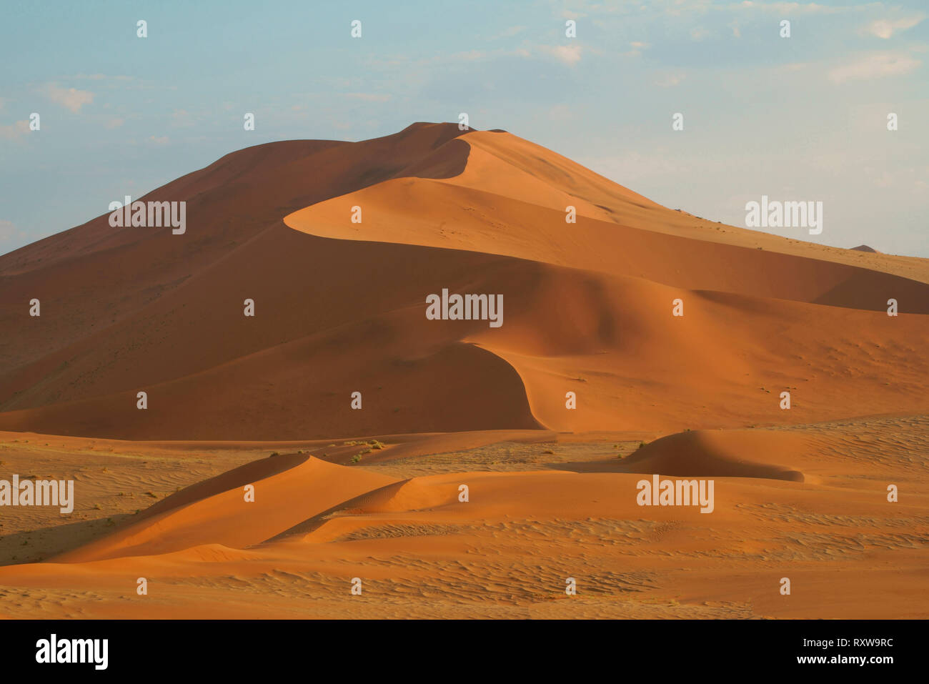 De magnifiques dunes rouges de Sossusvlei Parc National. Sossusvlei est un sel et de l'argile pan formé à partir de dépôts de la rivière Tsauchab avant son débit était bloquée par des dunes de sable. Le mot "ossusvlei' signifie 'Dead-fin marsh' et bien que le nom d'origine visée à la poêle,il nowrefers à l'ensemble de la zone d'immenses dunes rouges qui composent le Parc National de Sossusvlei. Ouest de la Namibie, près de la ville de Sesriem,l'Afrique. Banque D'Images