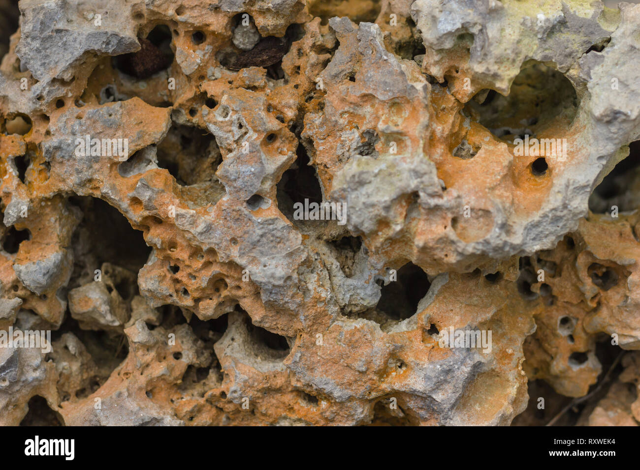 Texture en pierre beaucoup de trou dans le jardin. Banque D'Images