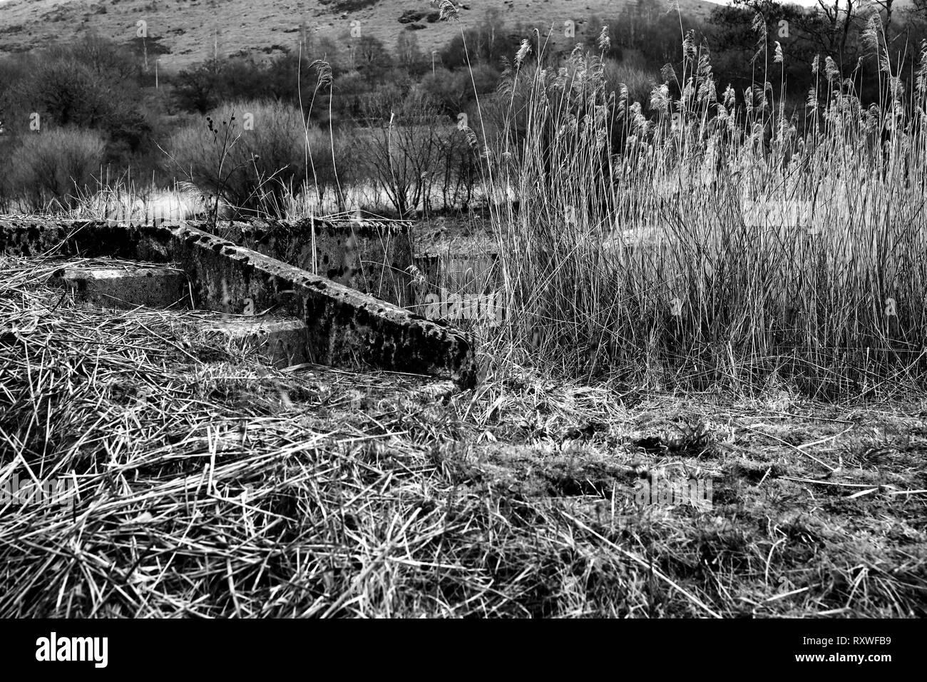 Passerelle de l'ancien secteur minier Cole Banque D'Images