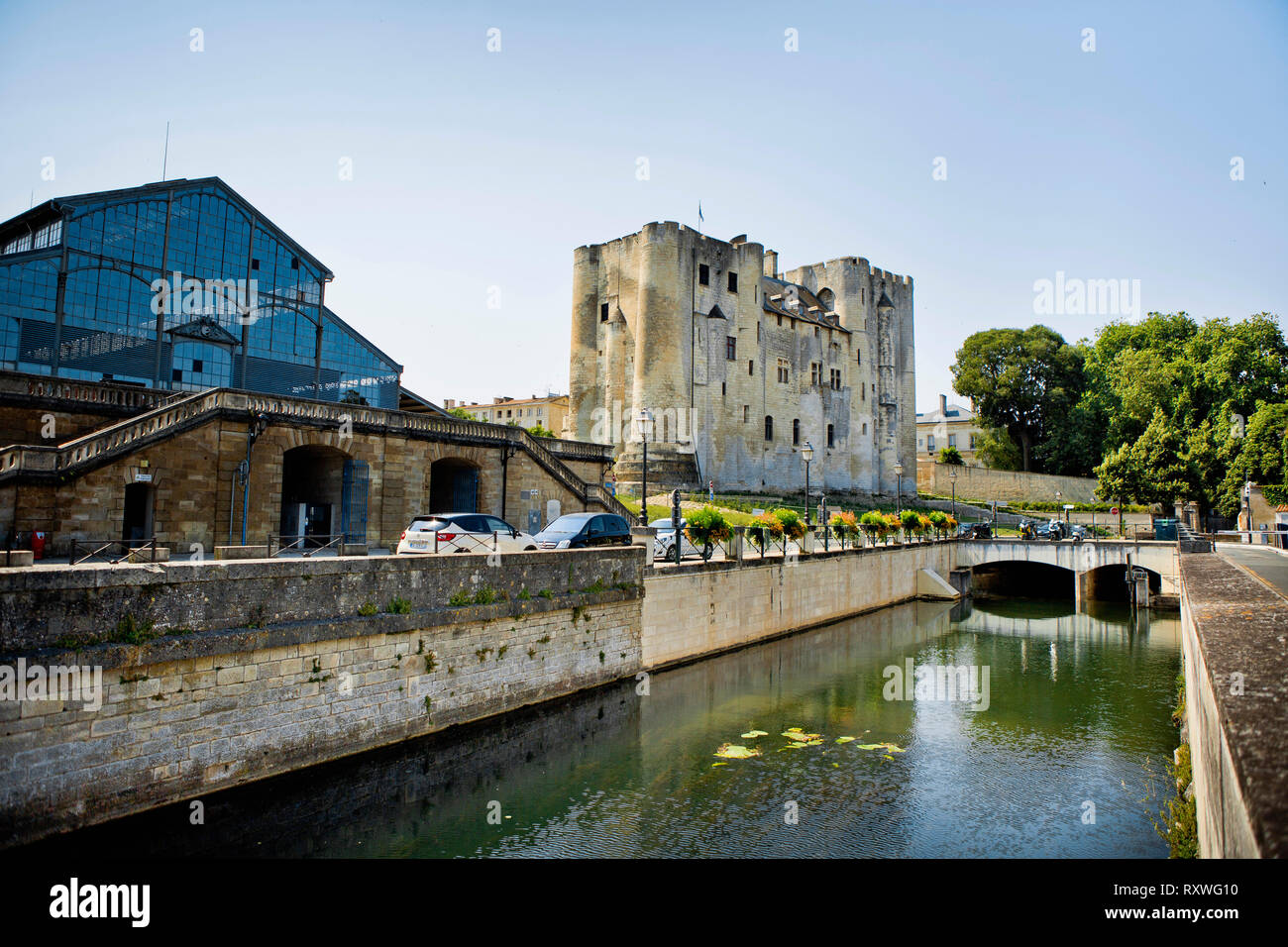 Niort (centre-ouest de la France) : les banques de la rivière de la Sèvre Niortaise avec le marché central couvert et le garder Banque D'Images