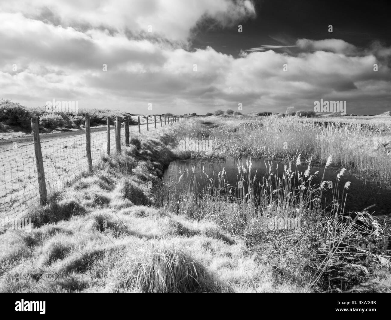 Une image infrarouge d'un étang à Medmerry Réserve naturelle en hiver dans le West Sussex, Angleterre. Banque D'Images