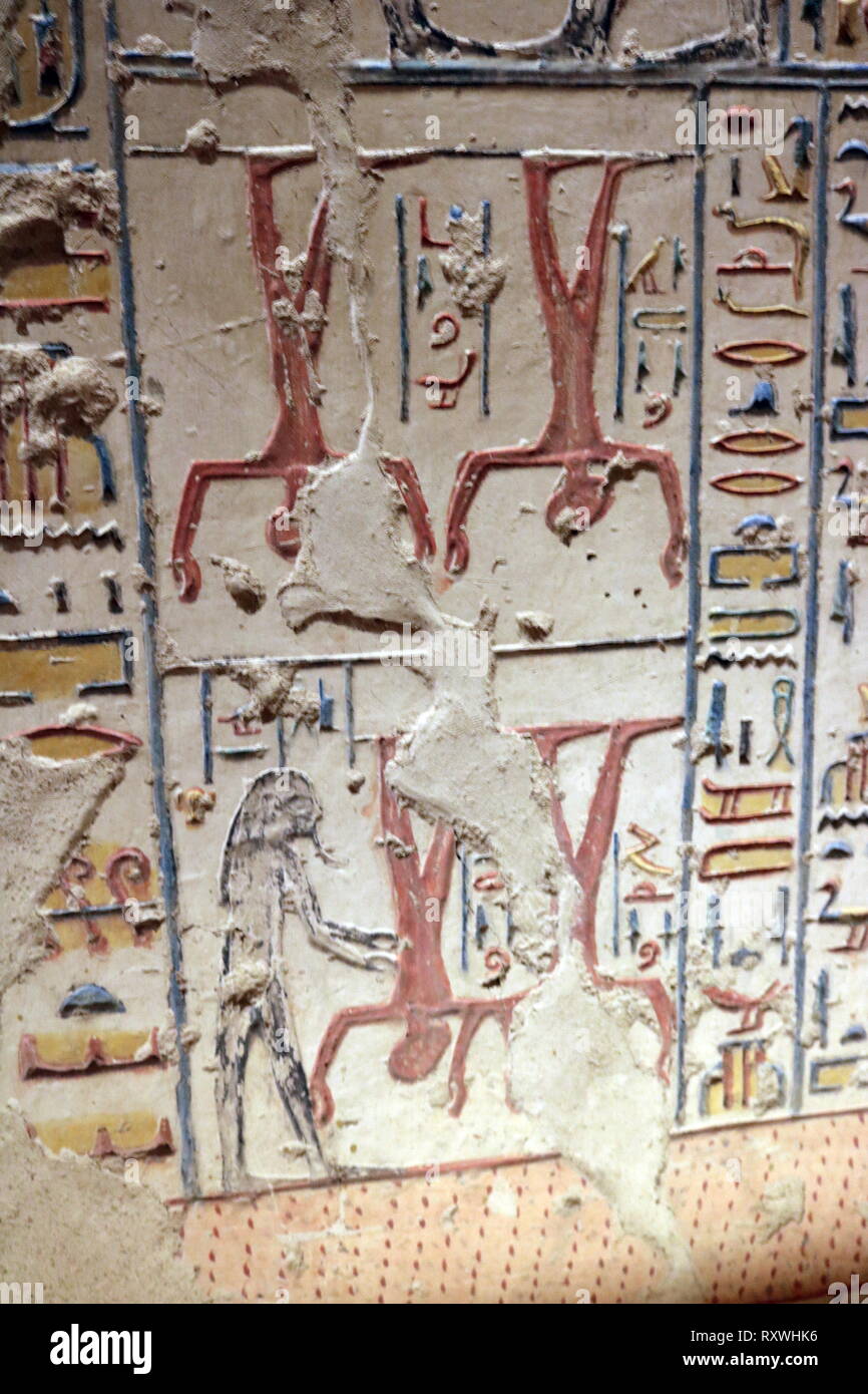 Frise murale de la tombe de Ramsès VI. Tombe KV9 pour l'Egypte Vallée des Rois a été construite par le pharaon Ramsès V. Il est enterré ici, mais son oncle, Ramsès VI, réutilisés plus tard le tombeau comme son propre. La mise en page est typique de la 20e dynastie - la période de l'époque Ramesside. Ramsès VI Nebmaatre-Meryamun fut le cinquième souverain de la xxe dynastie égyptienne. Il a régné pendant environ huit ans au milieu et à la fin du 12e siècle avant J.-C. Banque D'Images