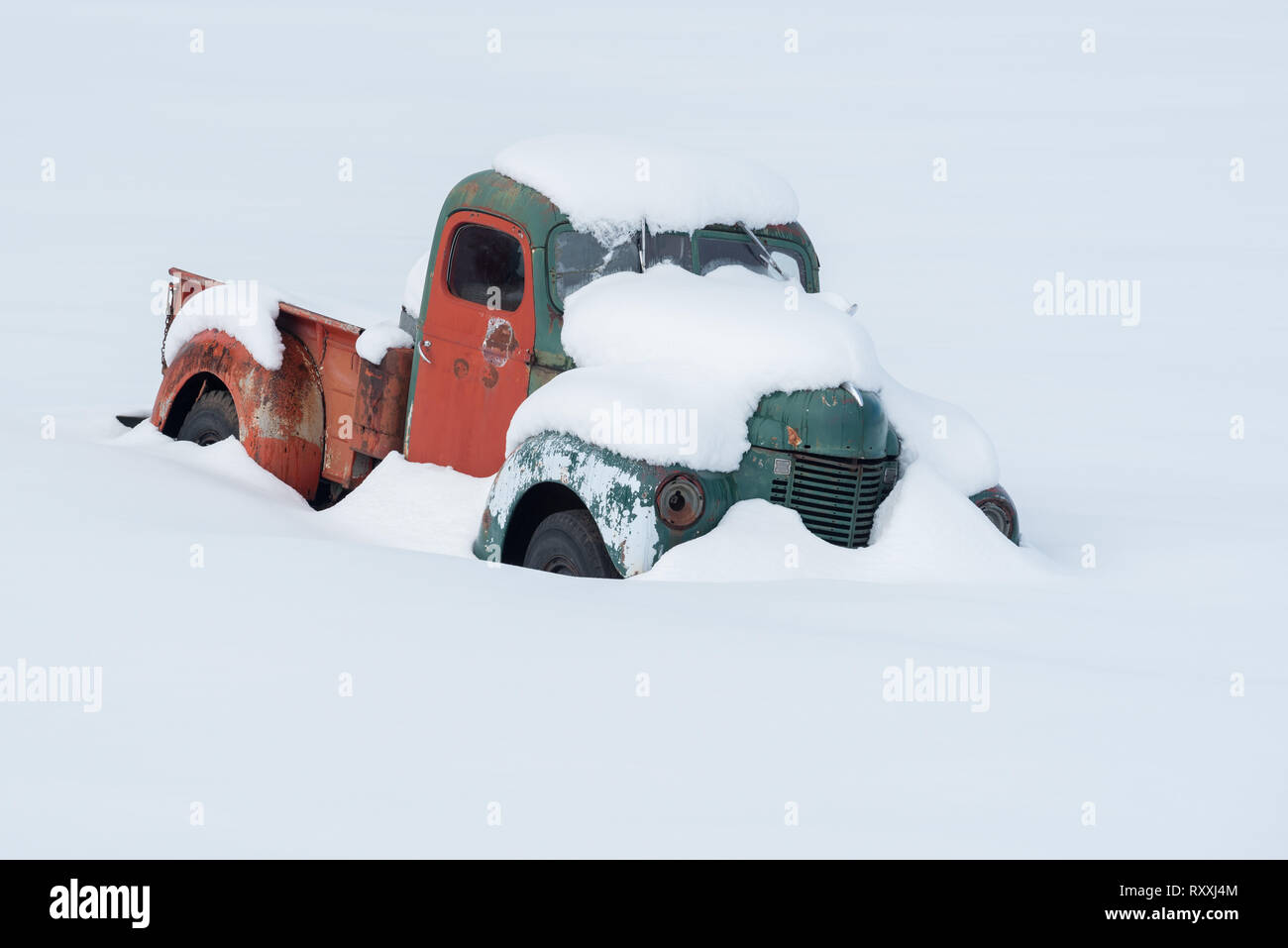 Vieux camion recouvert de neige, Wallowa Valley, Oregon. Banque D'Images