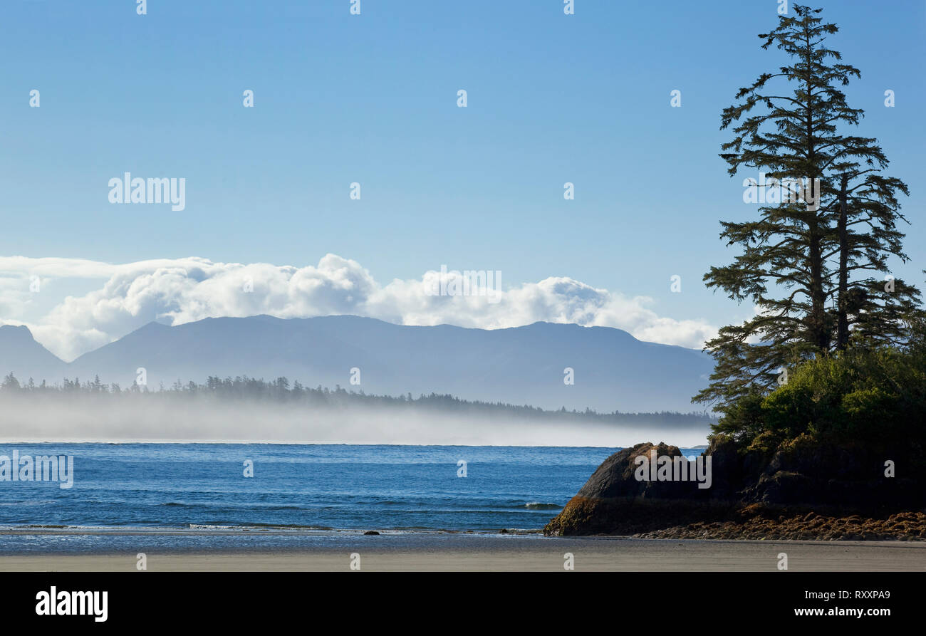 Plage de goélettes à la fin de sentier de Schooner Cove, parc national Pacific Rim, l'île de Vancouver, Colombie-Britannique, Canada Banque D'Images