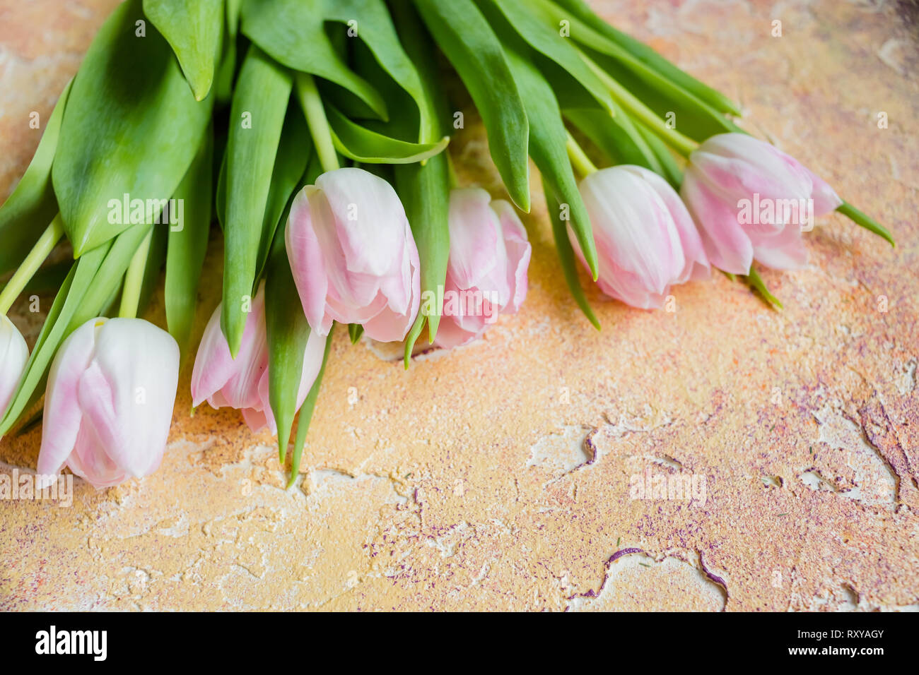 Image de tulipes jaune sur fond rustique. Les fleurs du printemps. Arrière-plan de printemps. La Saint-Valentin et la Fête des Mères. Joyeuses pâques carte. Copie Banque D'Images