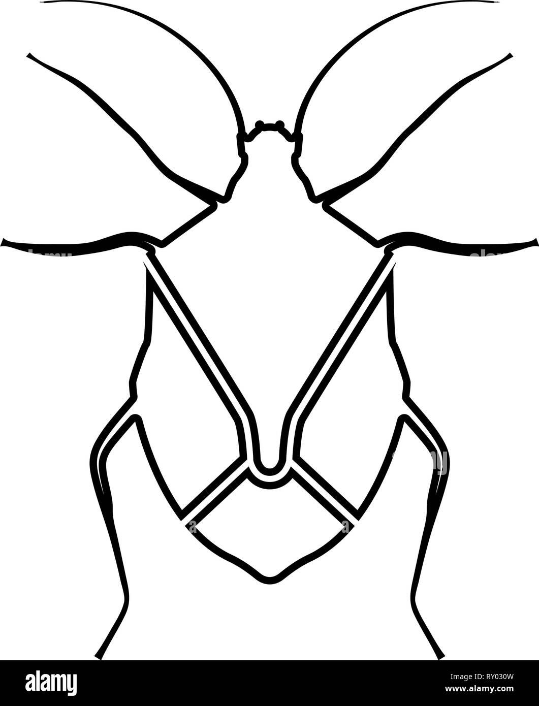 Punaise punaise vrai bug bugs Hemipterans insect pest icon noir couleur contours vector illustration image style plat Illustration de Vecteur