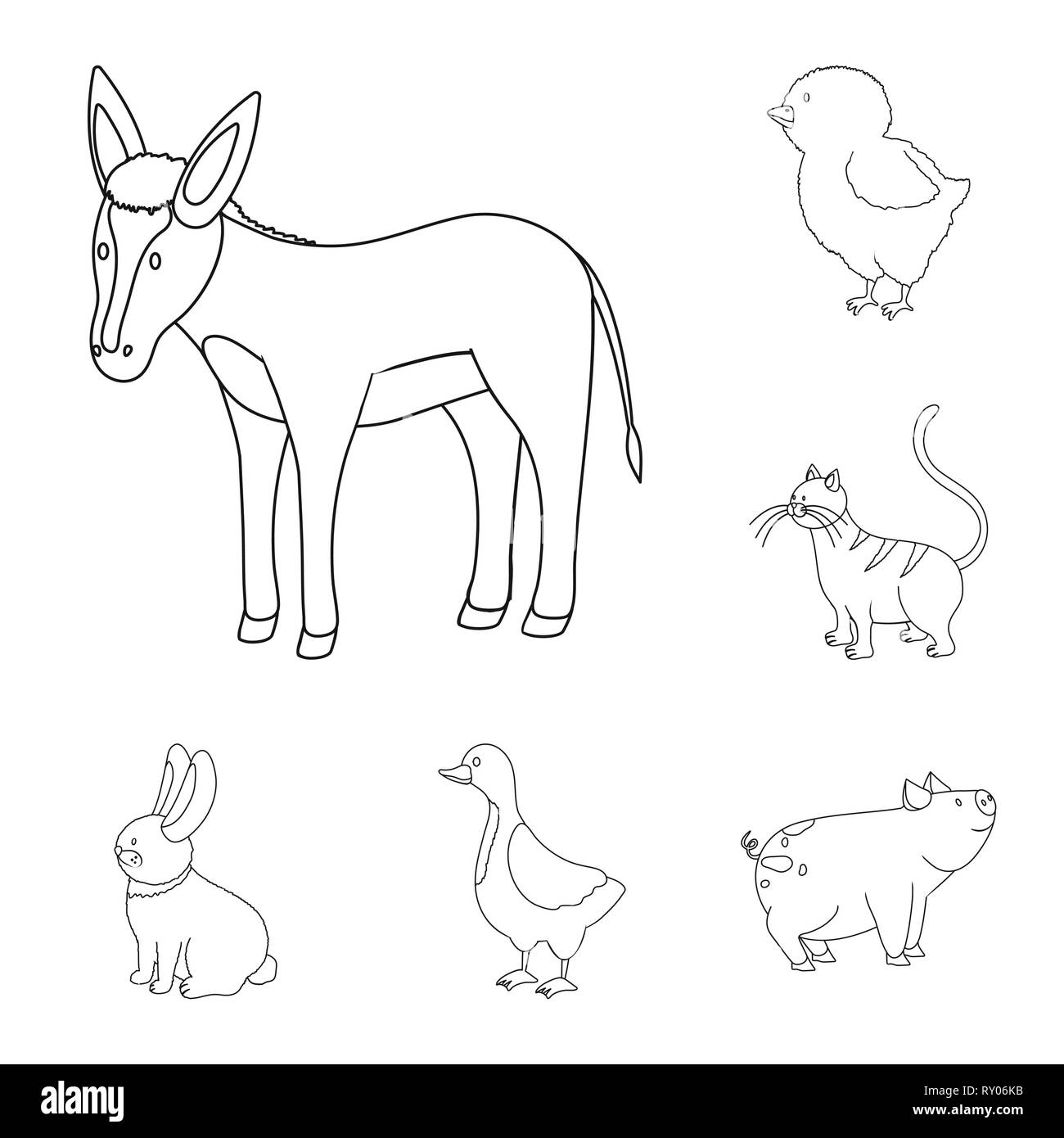 Âne,chick,cat,lapin,cochon,oie,animal,Animaux,chaton,pâques,mule,recherche,mignon,viande,volant,oeufs,porcelet pâturage,,blanc,canards,activité,la queue,lièvre,élevage,jaune,race,maison,drôle,campagne,ferme,agriculture,reproduction,cuisine,ferme,ranch bio,alimentation,set,icône,,illustration,collection,isolé,design,graphisme,élément signe,ligne,plan,vecteurs vecteur , Illustration de Vecteur