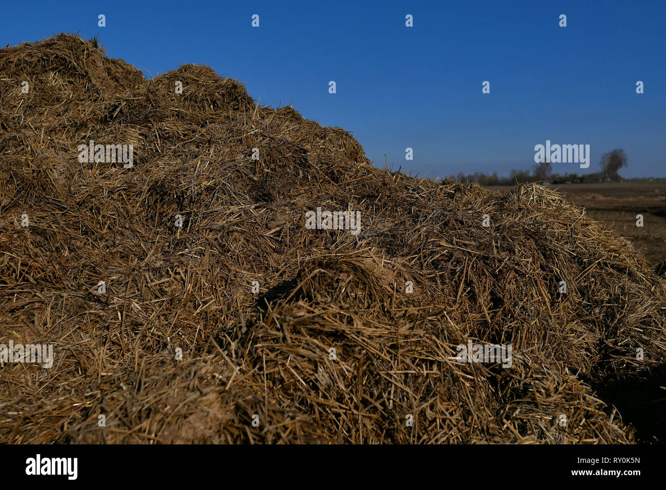 Domaine, les terres arables sont préparées pour l'ensemencement des cultures. Dans l'arrière-plan, loin des forêts, les tracteurs charrue. Banque D'Images