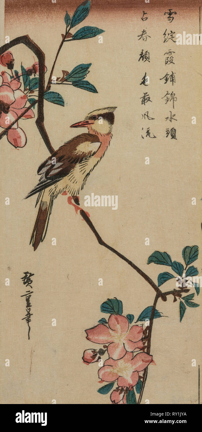 Nightingale coréen sur Cherry Branch, début ou milieu des années 1830. Ando Hiroshige (1797-1858), Japonais. Gravure sur bois en couleur ; total : 25,3 x 12,8 cm (9 15/16 x 5 1/16 in Banque D'Images