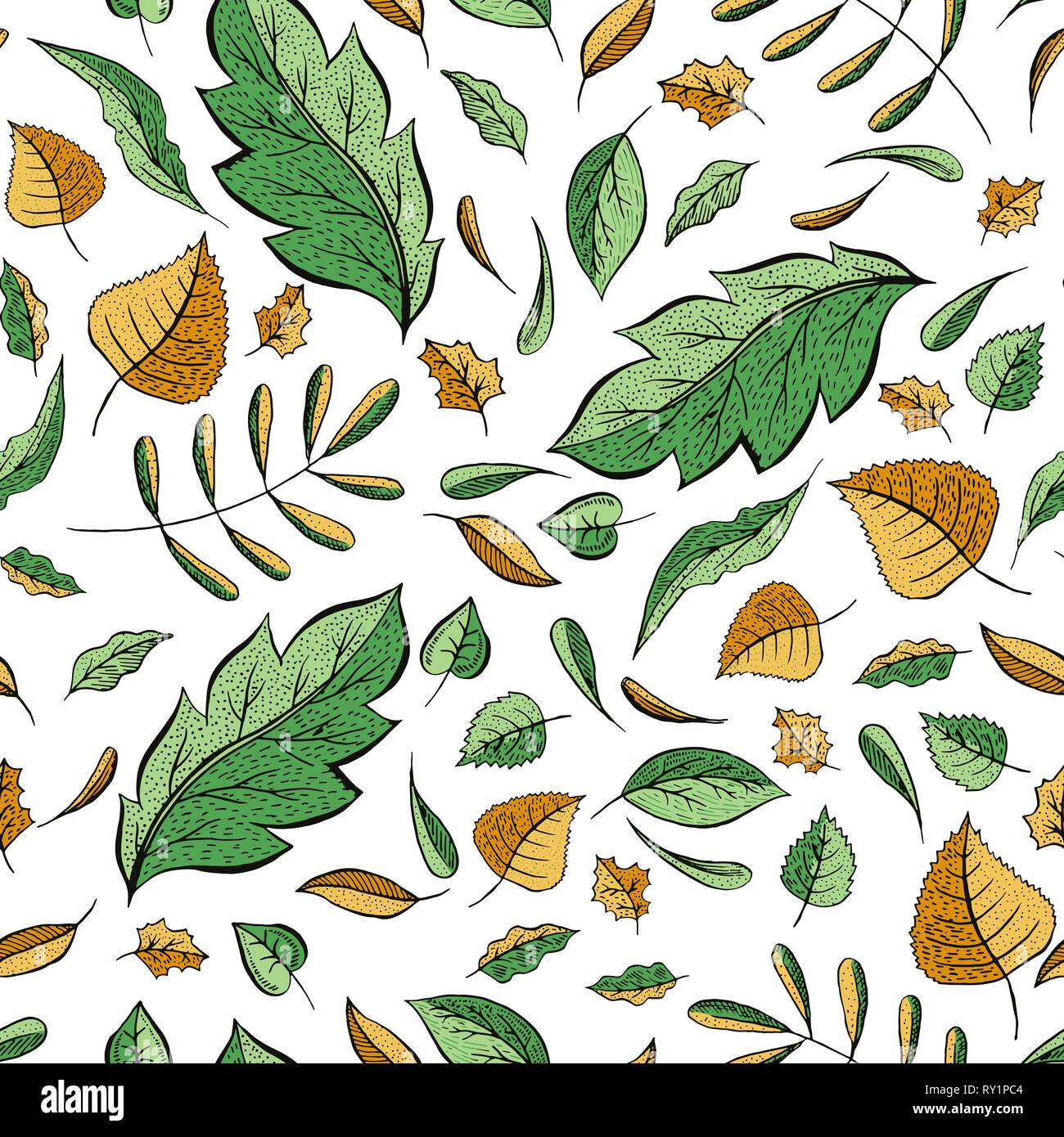 Les feuilles d'automne à la main motif transparent de couleur. Le chêne, le bouleau, le noyer d'illustration vectorielle du feuillage. Frais vert, jaune d'automne doodle leafage. Papier peint botanique, textile, papier d'emballage design Illustration de Vecteur