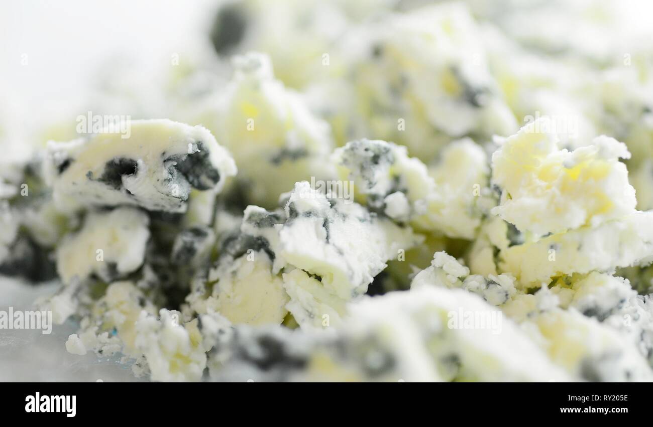 Plan Macro sur un fromage bleu râpé avec Visible Cultures de la moisissure Penicillium. Banque D'Images