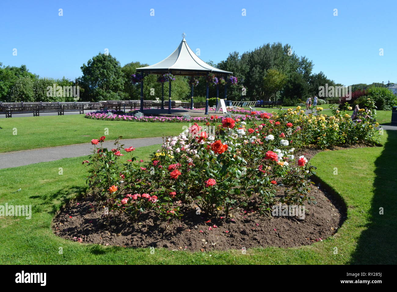 Filey - Crescent Gardens et kiosque sur une belle journée ensoleillée et les roses sont en fleurs. North Yorkshire UK Banque D'Images