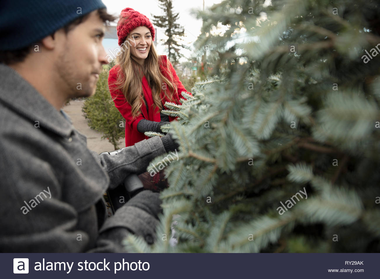Couple à l'arbre de Noël Marché de Noël Banque D'Images