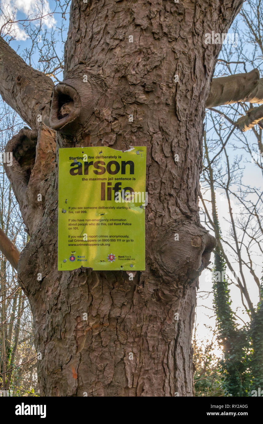 Un signe sur un arbre dans le bois de l'Mockett, Broadstairs, met en garde contre les feux de départ. Banque D'Images