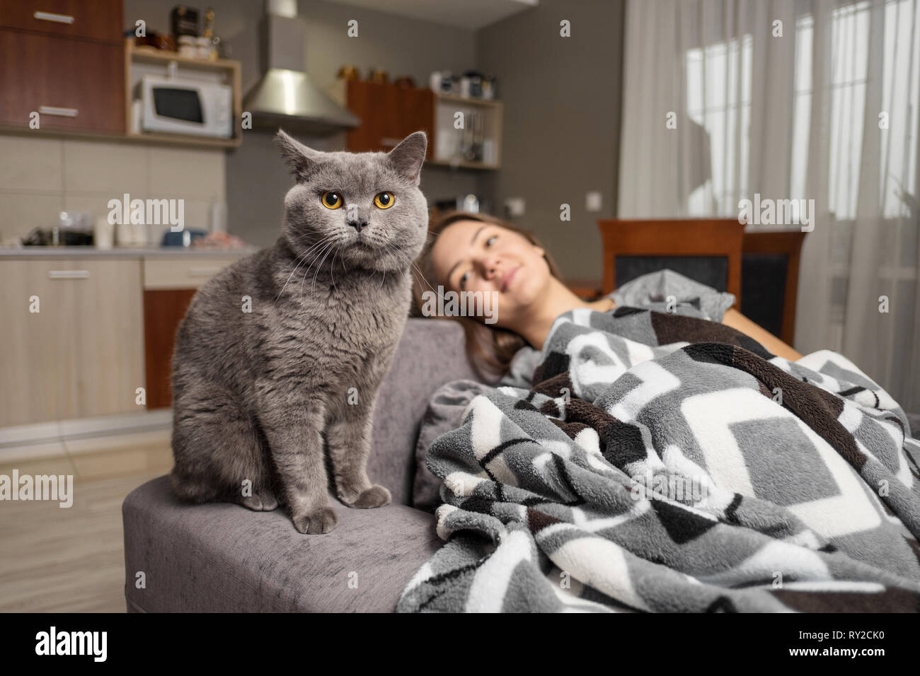 Jeune Femme Dormir Avec Son Chat Cat Est En Attente Lorsque Girl Service Et Assis Pres De Sleeping Photo Stock Alamy