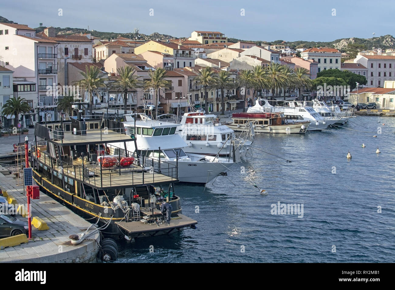 ISOLA MADDALENA, Sardaigne, Italie - 7 mars 2019 : petit ferry port et front de mer bordée de palmiers bâtiments sur 7 Mars 2019 à Isola Maddalena en Sardaigne, je Banque D'Images