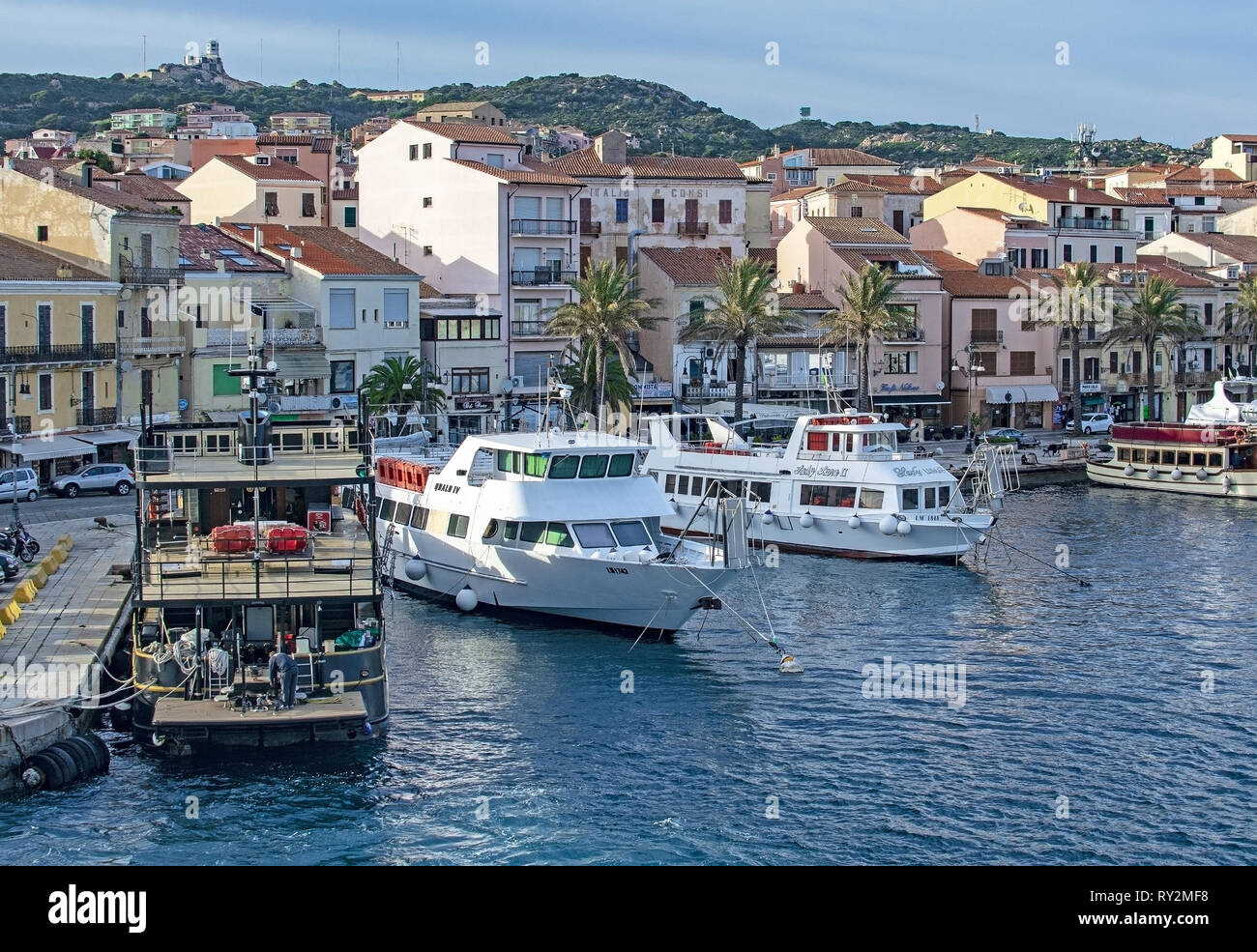 ISOLA MADDALENA, Sardaigne, Italie - 7 mars 2019 : petit ferry port et front de mer bordée de palmiers bâtiments sur 7 Mars 2019 à Isola Maddalena en Sardaigne, je Banque D'Images