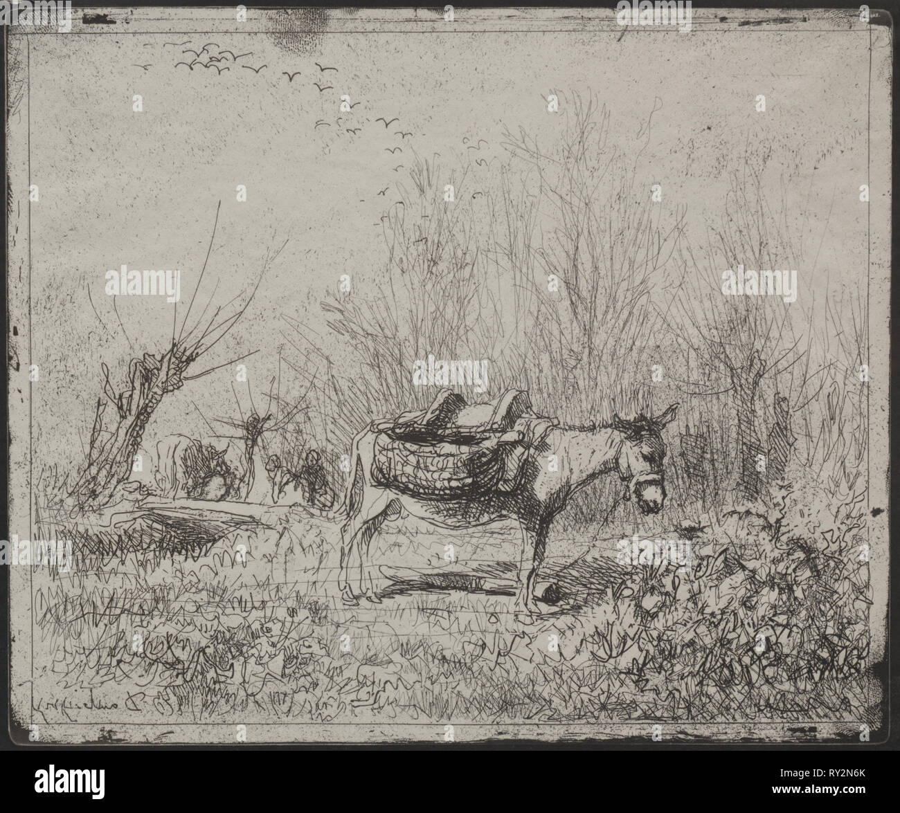 Un âne dans le domaine, impression d'origine 1862, imprimé en 1921. Charles François Daubigny (Français, 1817-1878). Cliché-verre ; feuille : 17,4 x 20,9 cm (6 7/8 x 8 1/4 in.) ; platemark : 16,8 x 20 cm (6 5/8 x 7 7/8 po Banque D'Images