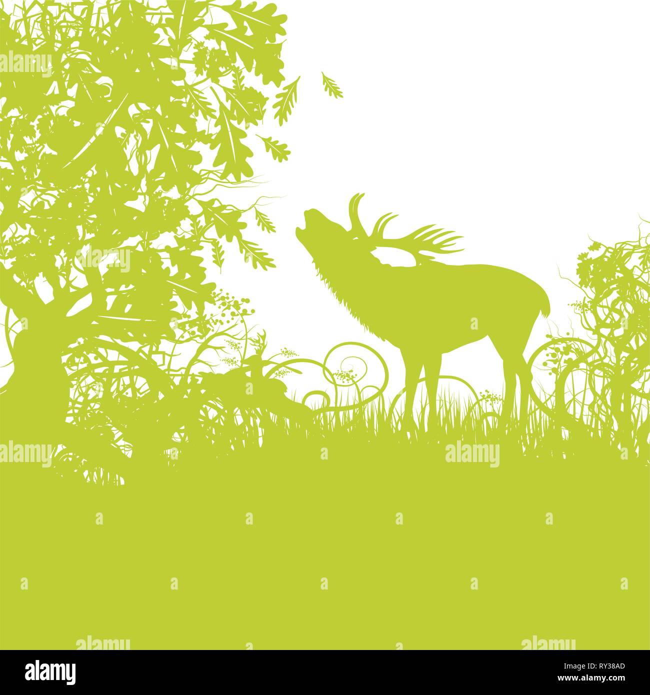 Chevreuil dans la forêt verte près de l'orniérage Illustration de Vecteur