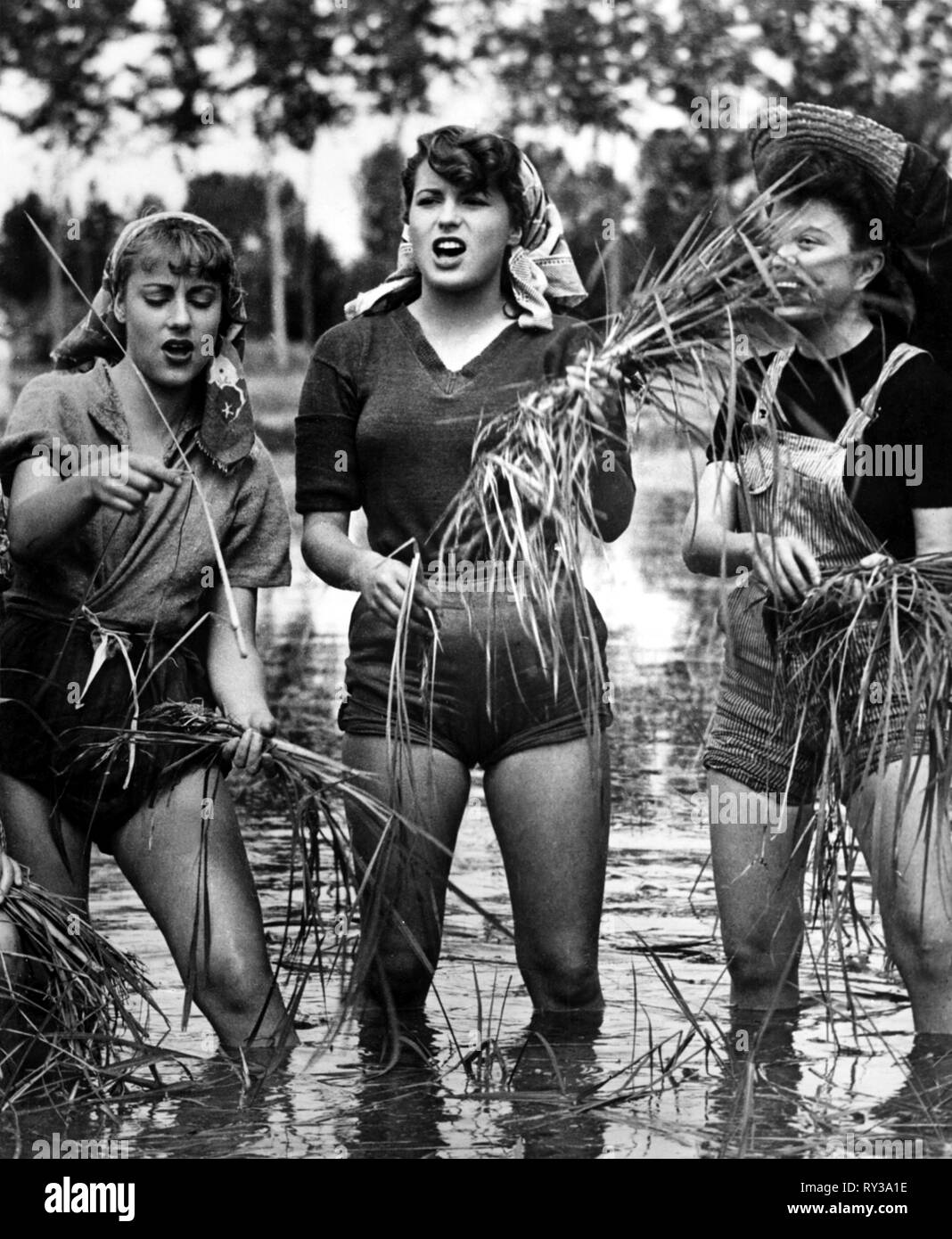 Riso amaro silvana mangano 1949 Banque de photographies et d’images