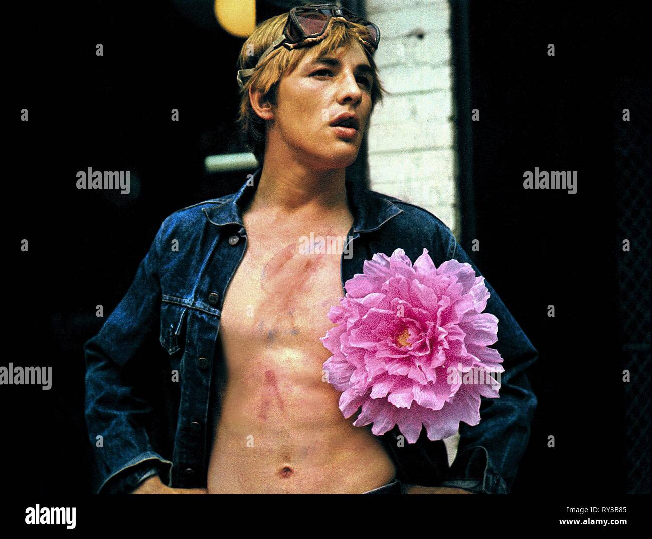 DON JOHNSON, LE JARDIN MAGIQUE DE STANLEY SWEETHEART, 1970 Banque D'Images