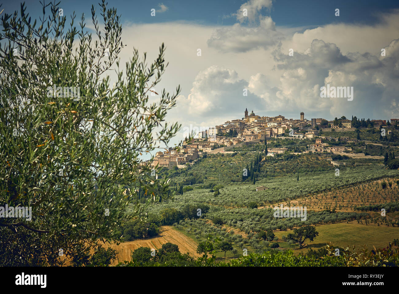 Vue aérienne de la ville médiévale de Trevi Ombrie (Italie). Le format paysage. Banque D'Images