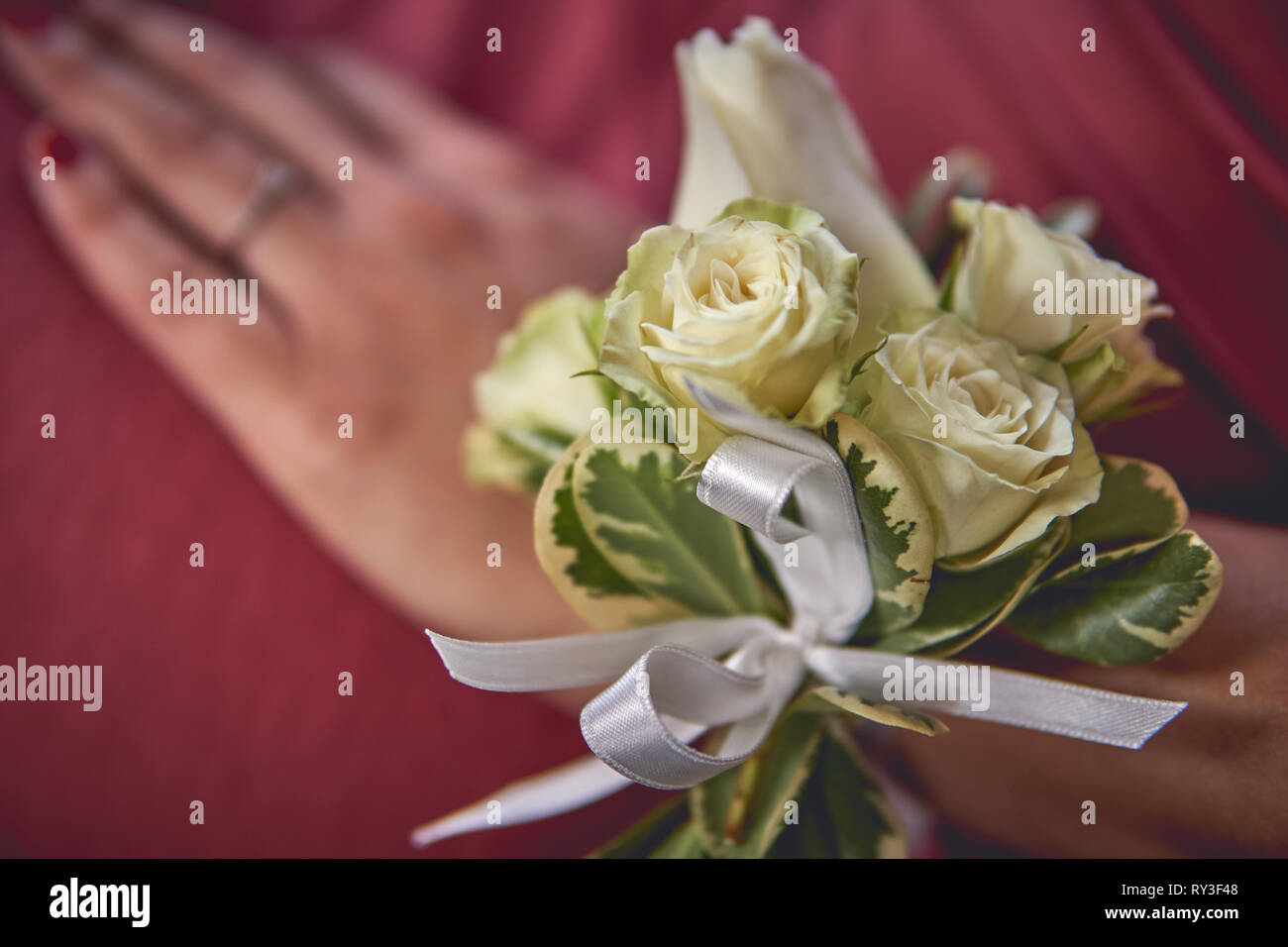 Vue rapprochée d'un corsage rose blanche sur un . Le romantisme et la notion de mariage. Le format paysage. Banque D'Images