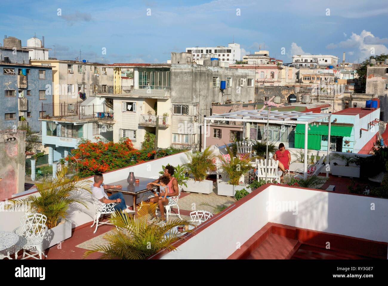Cuba, La Havane, Vedado, les hommes sur la terrasse de la guesthouse Casa  querida, ouvert sur les toits de la ville Photo Stock - Alamy