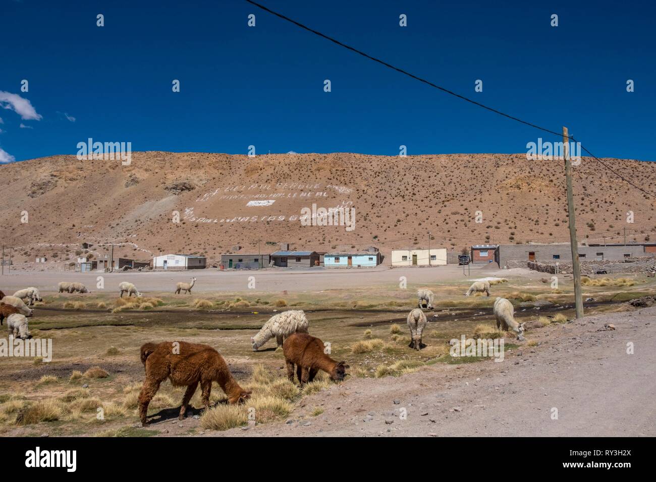Santa rosa de los pastos grandes Banque de photographies et d’images à