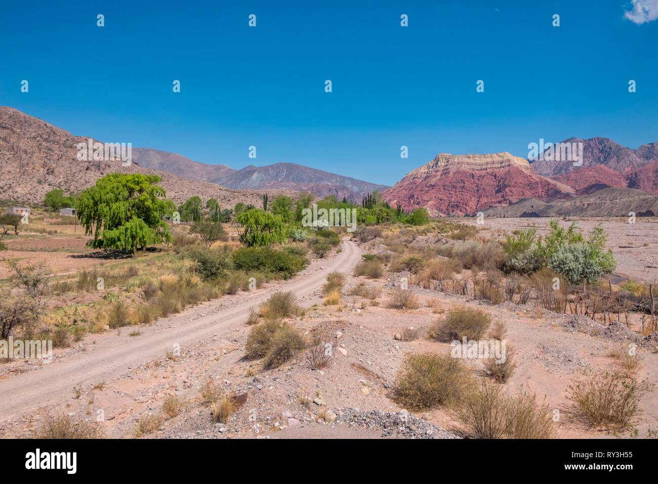 Argentine, province de Jujuy Quebrada de Humahuaca, classée au Patrimoine Mondial de l'UNESCO, Colonia San Jose, le volcan Yacoraite Banque D'Images