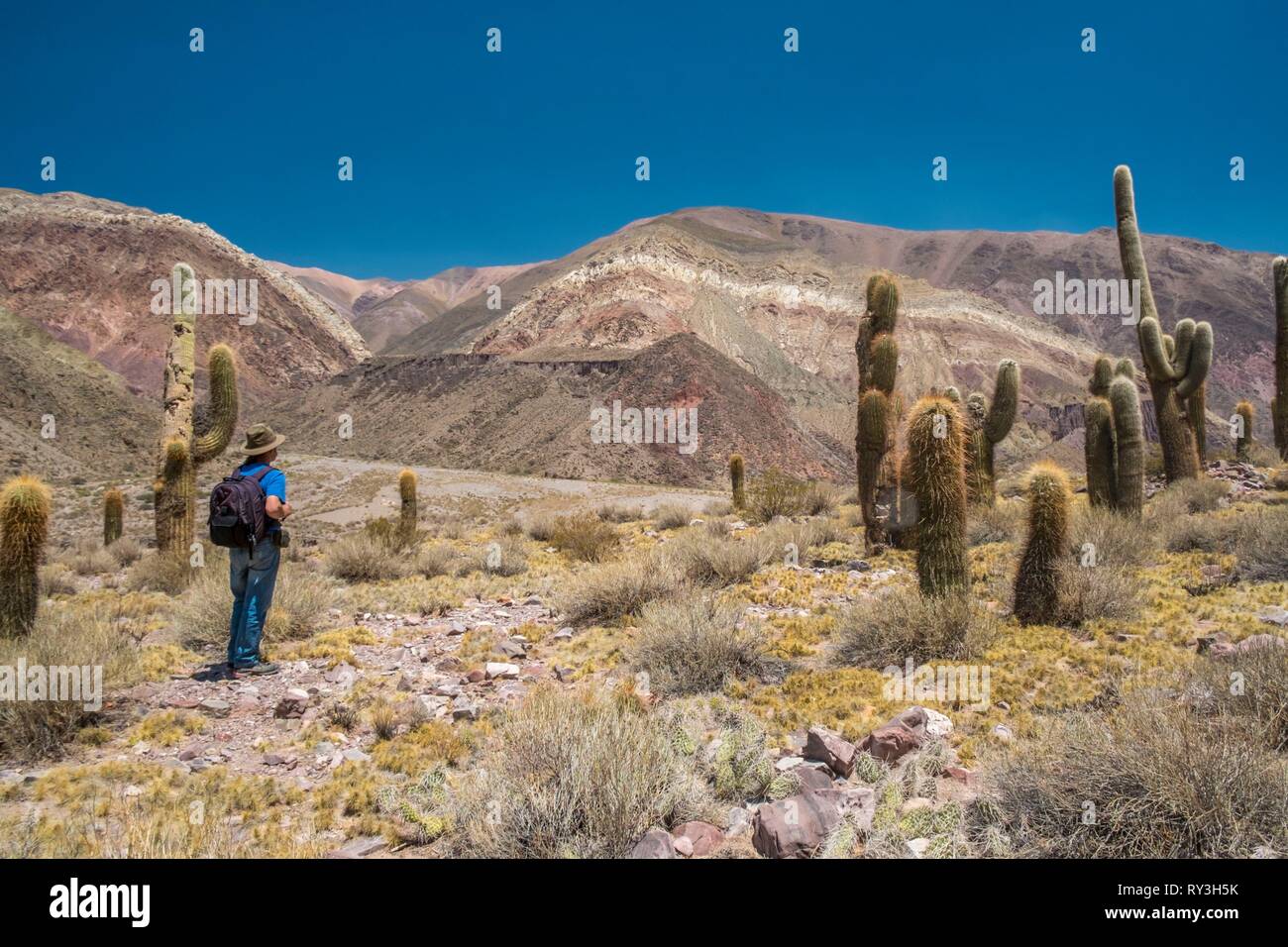 Argentine, province de Jujuy Quebrada de Humahuaca, classée au Patrimoine Mondial de l'UNESCO, Colonia San Jose, le volcan Yacoraite Banque D'Images