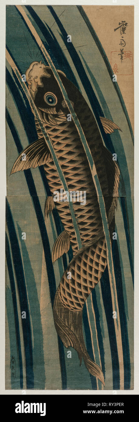 Une cascade ascendante Carp, au début ou au milieu des années 1830. Keisai Eisen (japonais, 1790-1848). Gravure sur bois en couleur ; feuille : 72,4 x 24,2 cm (28 1/2 x 9 1/2 po Banque D'Images